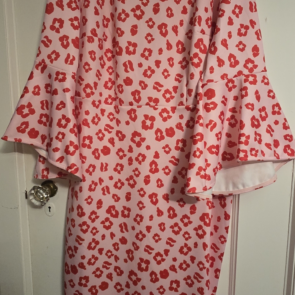 Pink and Red Dress with Bell Sleeves